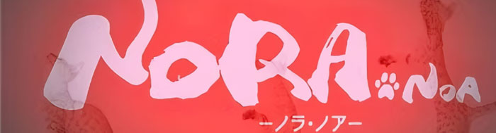 NORA-NOA