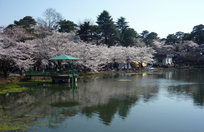 大宮公園