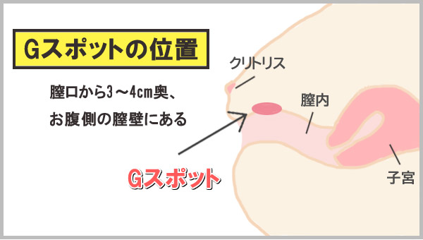 Gスポットの位置